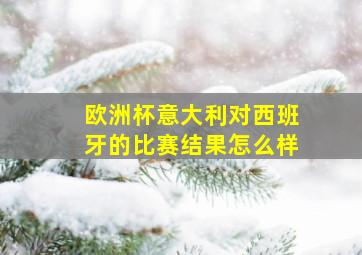 欧洲杯意大利对西班牙的比赛结果怎么样