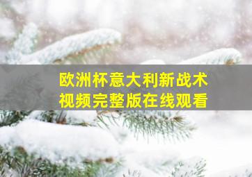 欧洲杯意大利新战术视频完整版在线观看