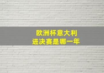 欧洲杯意大利进决赛是哪一年