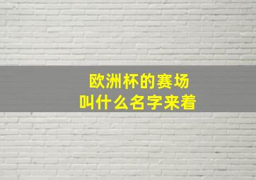 欧洲杯的赛场叫什么名字来着