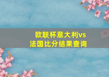 欧联杯意大利vs法国比分结果查询