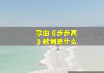 歌曲《步步高》歌词是什么