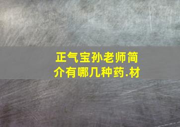 正气宝孙老师简介有哪几种药.材