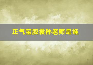 正气宝胶囊孙老师是谁