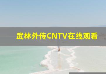 武林外传CNTV在线观看