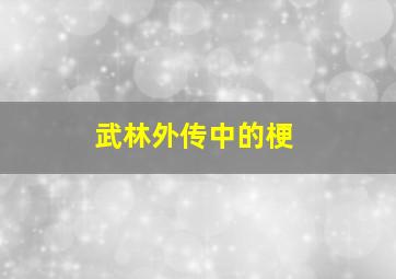 武林外传中的梗