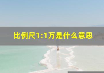 比例尺1:1万是什么意思