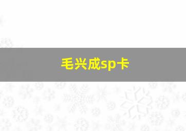 毛兴成sp卡