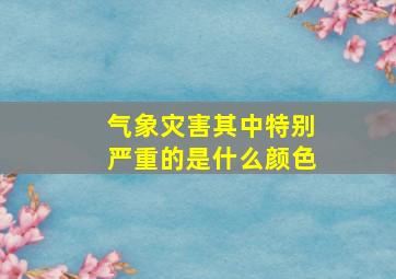 气象灾害其中特别严重的是什么颜色