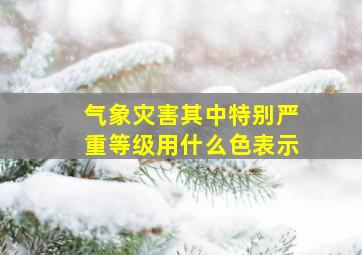 气象灾害其中特别严重等级用什么色表示