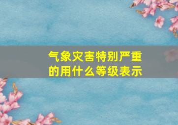 气象灾害特别严重的用什么等级表示