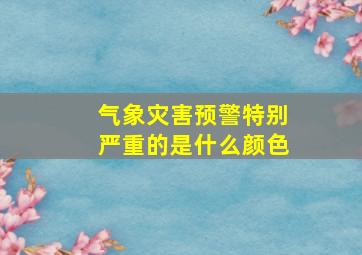 气象灾害预警特别严重的是什么颜色