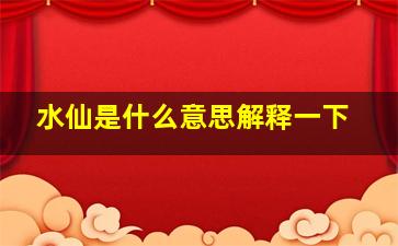 水仙是什么意思解释一下