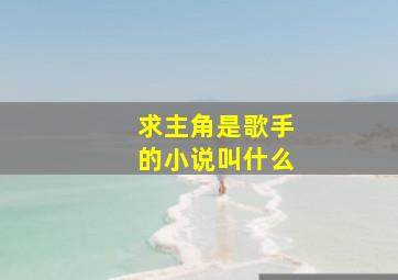 求主角是歌手的小说叫什么