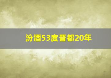 汾酒53度晋都20年