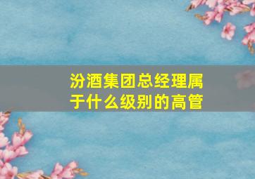 汾酒集团总经理属于什么级别的高管