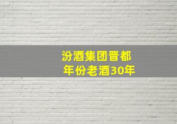 汾酒集团晋都年份老酒30年