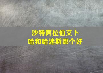 沙特阿拉伯艾卜哈和哈迷斯哪个好