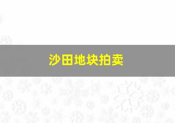 沙田地块拍卖