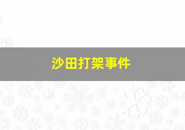 沙田打架事件