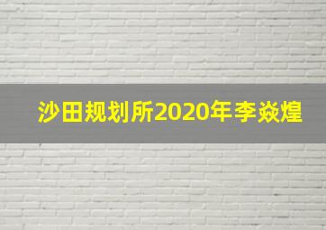 沙田规划所2020年李焱煌