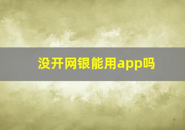 没开网银能用app吗