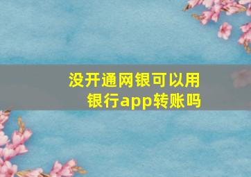 没开通网银可以用银行app转账吗