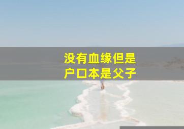 没有血缘但是户口本是父子