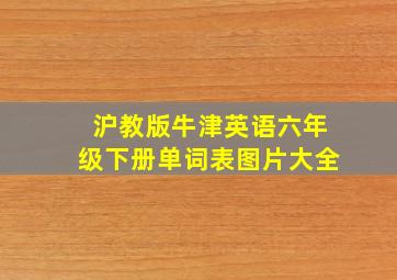 沪教版牛津英语六年级下册单词表图片大全