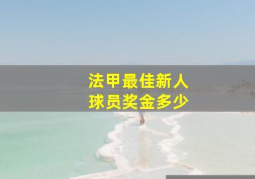 法甲最佳新人球员奖金多少