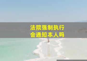 法院强制执行会通知本人吗