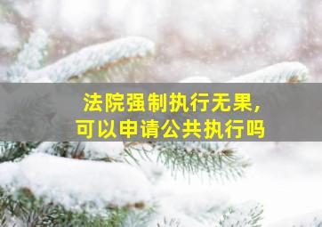 法院强制执行无果,可以申请公共执行吗