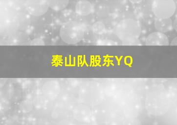 泰山队股东YQ