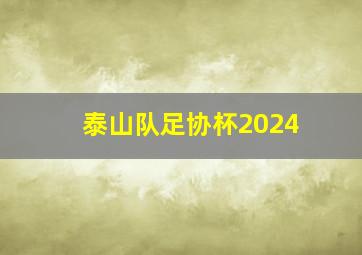 泰山队足协杯2024