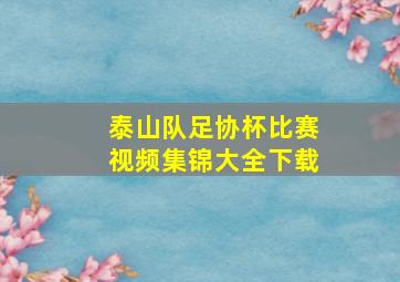 泰山队足协杯比赛视频集锦大全下载