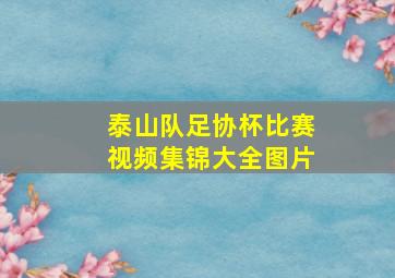 泰山队足协杯比赛视频集锦大全图片