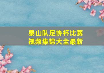 泰山队足协杯比赛视频集锦大全最新