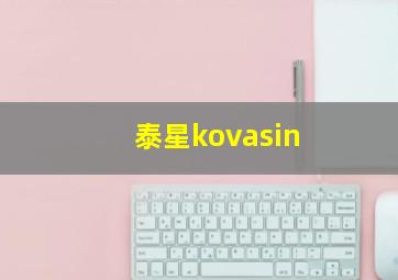 泰星kovasin