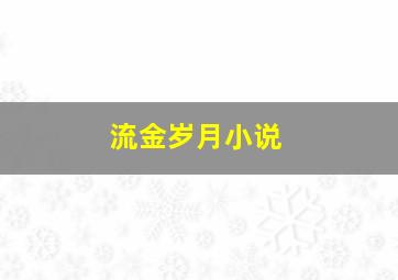 流金岁月小说