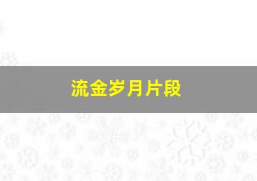 流金岁月片段