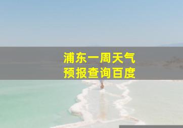 浦东一周天气预报查询百度