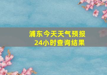 浦东今天天气预报24小时查询结果