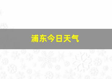 浦东今日天气