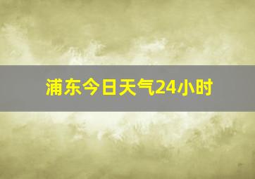 浦东今日天气24小时