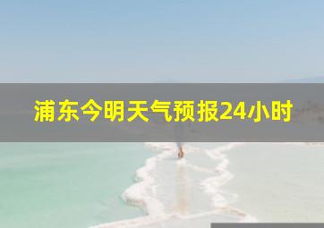 浦东今明天气预报24小时