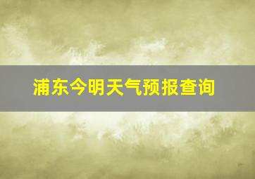 浦东今明天气预报查询