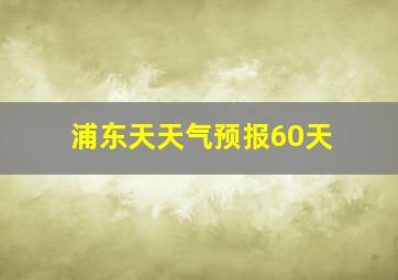 浦东天天气预报60天