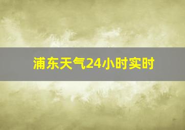 浦东天气24小时实时