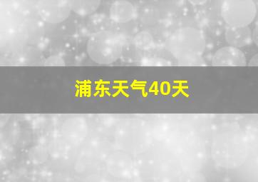 浦东天气40天