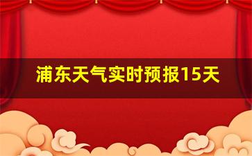 浦东天气实时预报15天